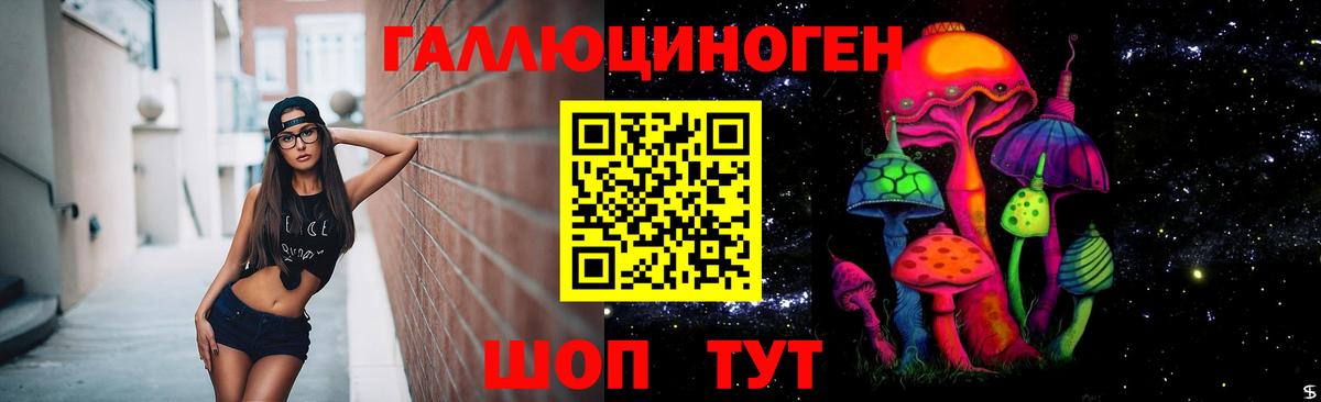 Псилоцибиновые грибы Psilocybine cubensis Ленинск-Кузнецкий