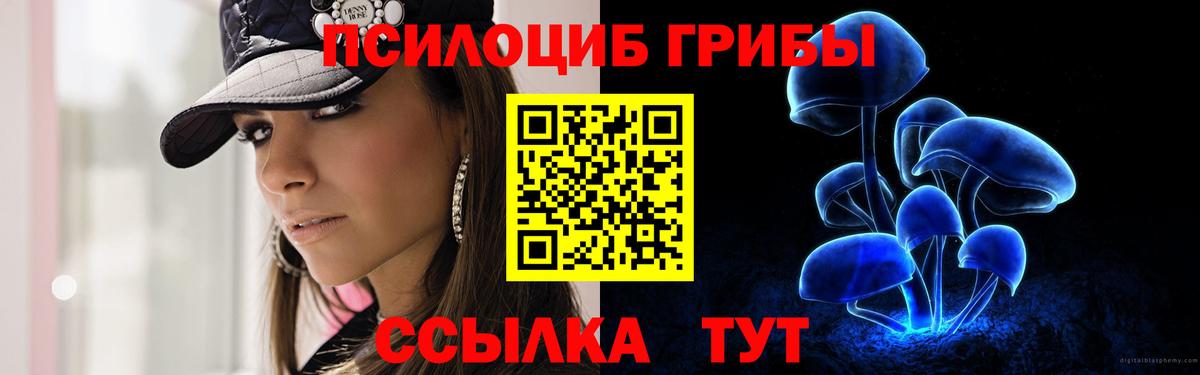 Псилоцибиновые грибы мухоморы  Вход с VPN  Ленинск-Кузнецкий  Псилоцибиновые грибы мухоморы 